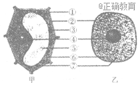 www.xiangpi.com