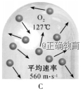 www.xiangpi.com
