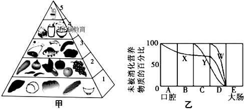 www.xiangpi.com
