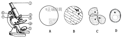 www.xiangpi.com
