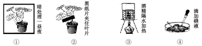 www.xiangpi.com