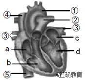 www.xiangpi.com