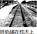 www.xiangpi.com