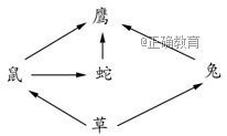 www.xiangpi.com