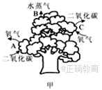 www.xiangpi.com