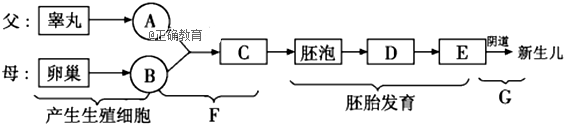 www.xiangpi.com