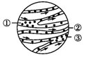 www.xiangpi.com