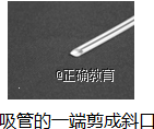 www.xiangpi.com