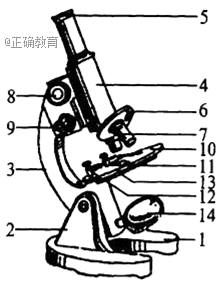 www.xiangpi.com
