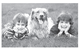 www.xiangpi.com