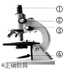 www.xiangpi.com