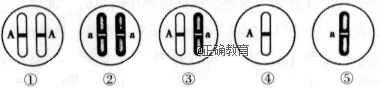 www.xiangpi.com
