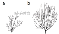 www.xiangpi.com