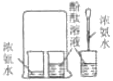 www.xiangpi.com