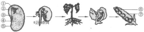 www.xiangpi.com