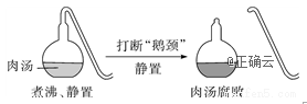 www.xiangpi.com