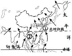 www.xiangpi.com