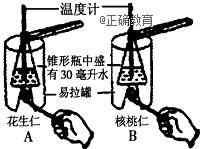 www.xiangpi.com