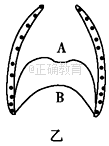 www.xiangpi.com