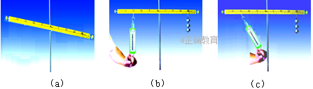 www.xiangpi.com