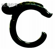 www.xiangpi.com