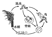 www.xiangpi.com