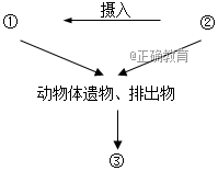 www.xiangpi.com