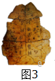 www.xiangpi.com