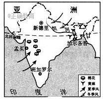 www.xiangpi.com