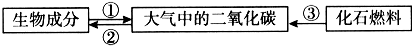 www.xiangpi.com