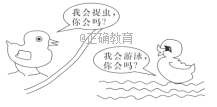 www.xiangpi.com