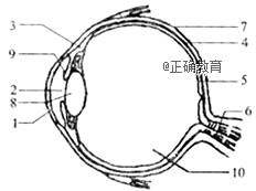 www.xiangpi.com