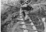 www.xiangpi.com