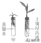 www.xiangpi.com