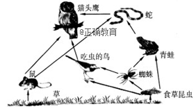 www.xiangpi.com