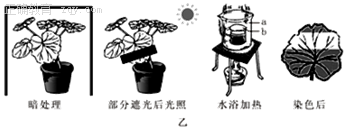 www.xiangpi.com