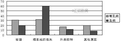 www.xiangpi.com