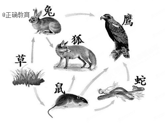 www.xiangpi.com