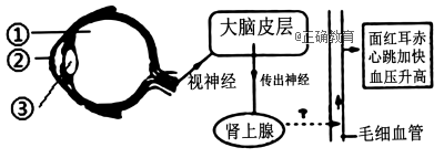 www.xiangpi.com