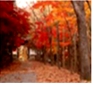 www.xiangpi.com