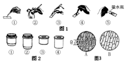 www.xiangpi.com