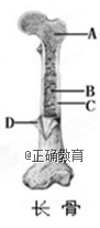www.xiangpi.com