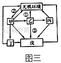 www.xiangpi.com