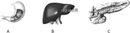 www.xiangpi.com
