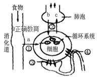 www.xiangpi.com
