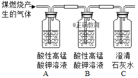 www.xiangpi.com