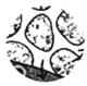 www.xiangpi.com