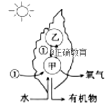 www.xiangpi.com