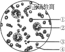 www.xiangpi.com
