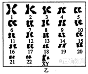 www.xiangpi.com
